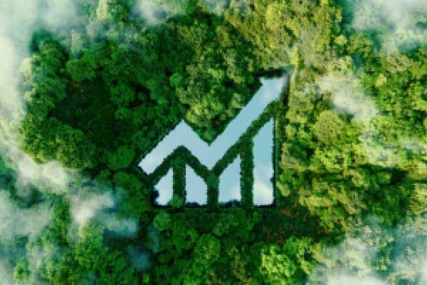 上海马年首场土拍观察：3幅地块68亿元成交，“精准”成供需双方共识